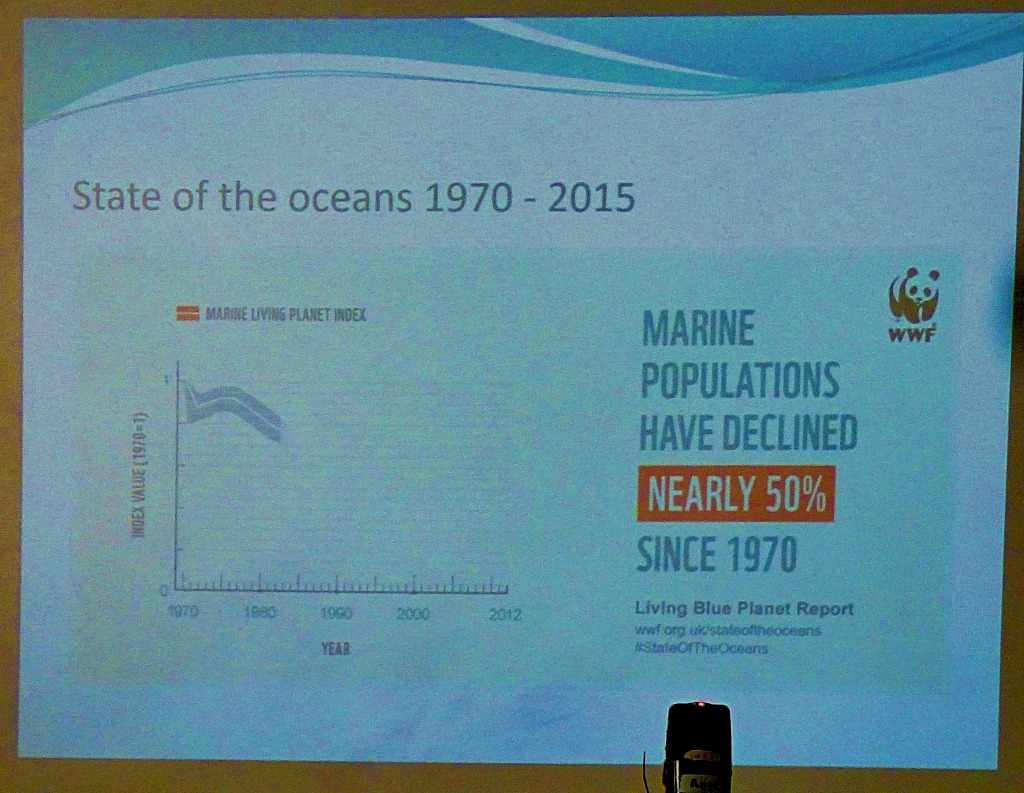 Marine population decline